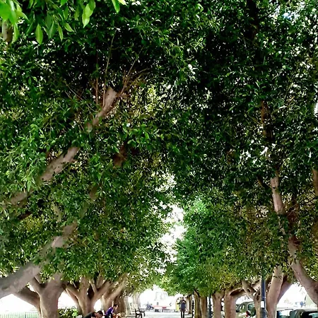 Vendégház Yard Patraix By Concept Flats Valencia